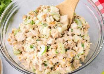 Apple Walnut Chicken Salad – On My Kids Plate