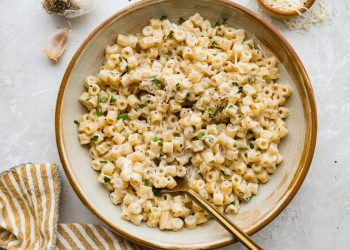 Creamy Garlic Ditalini Pasta (Easy 20-Minute Recipe)